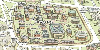 Карта на сайта на Харвардския университет
